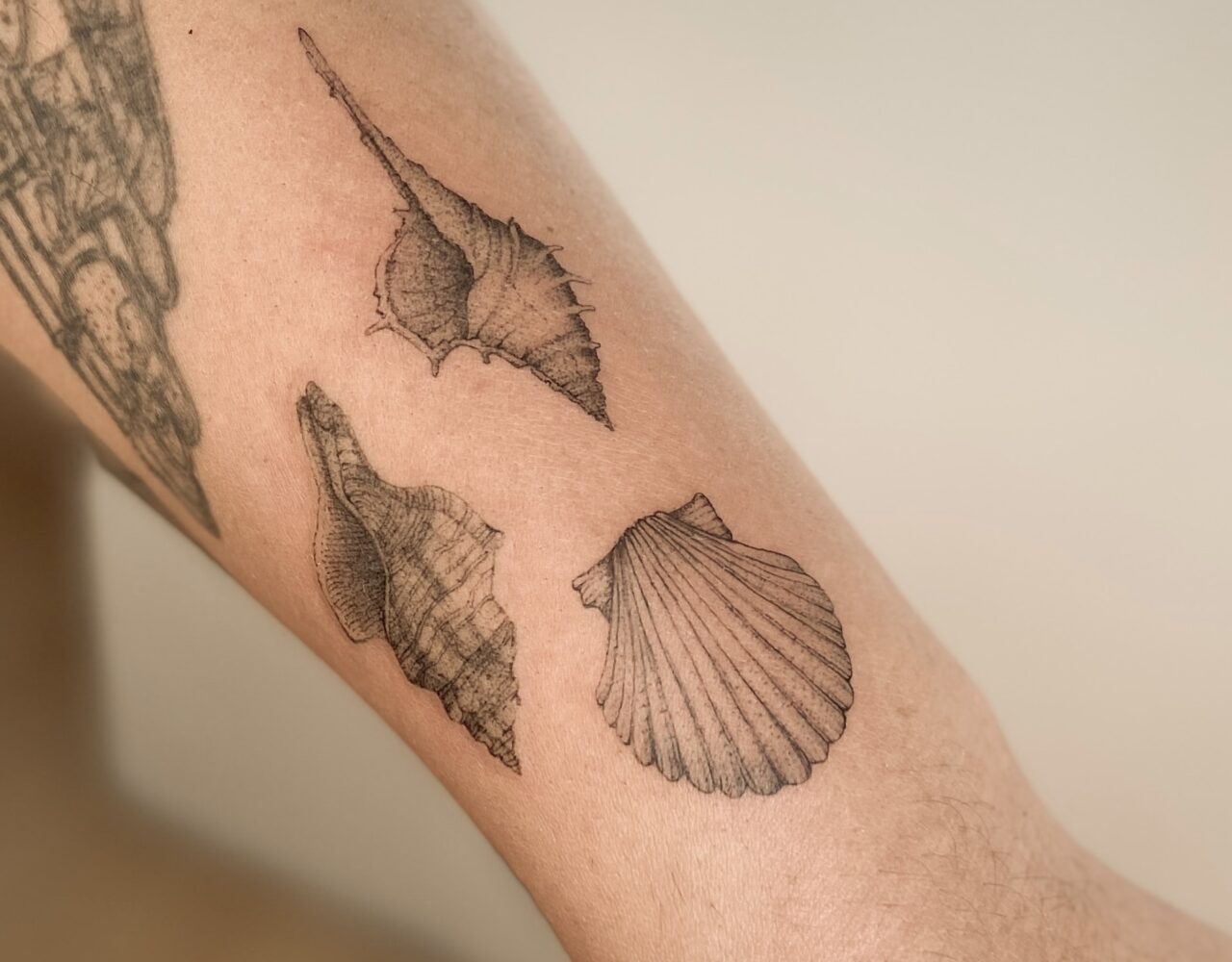 Tatuaje pequeño de concha de mar
