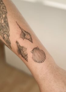 Tatuaje pequeño de concha de mar