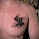 Águila tatuaje pequeño